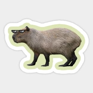 Cool Capybara with Sunglasses Sticker